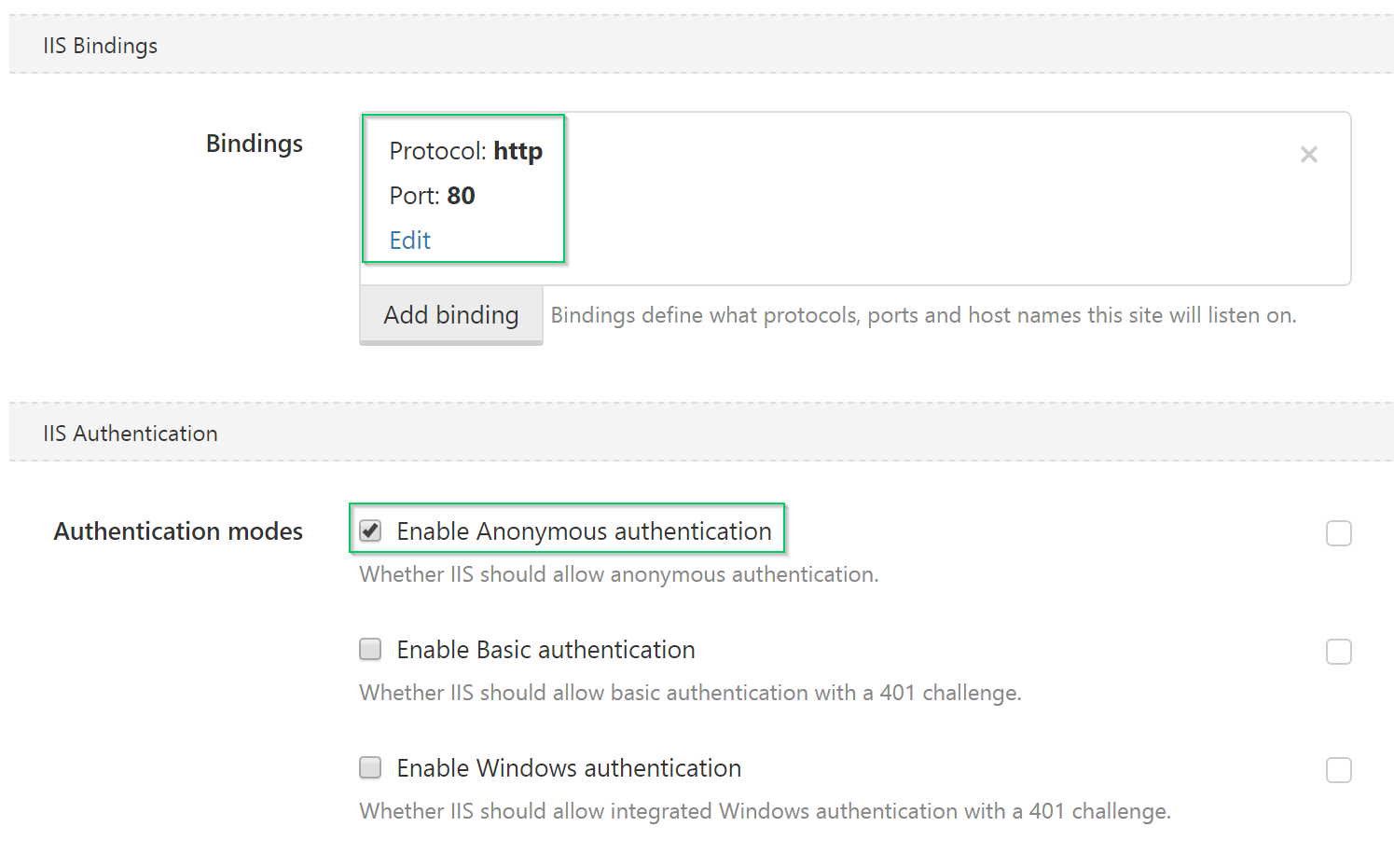 The IIS website bindings for the step