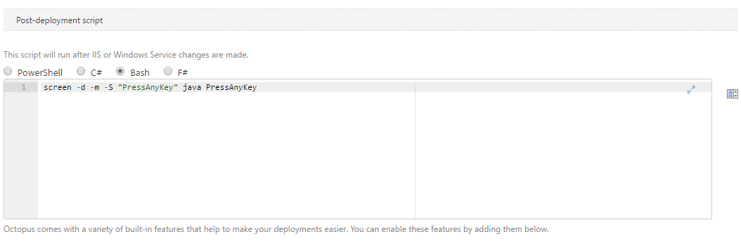 The deployment log for a Java application launched in a new process