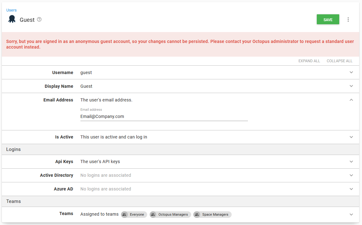 The guest user assigned to a team